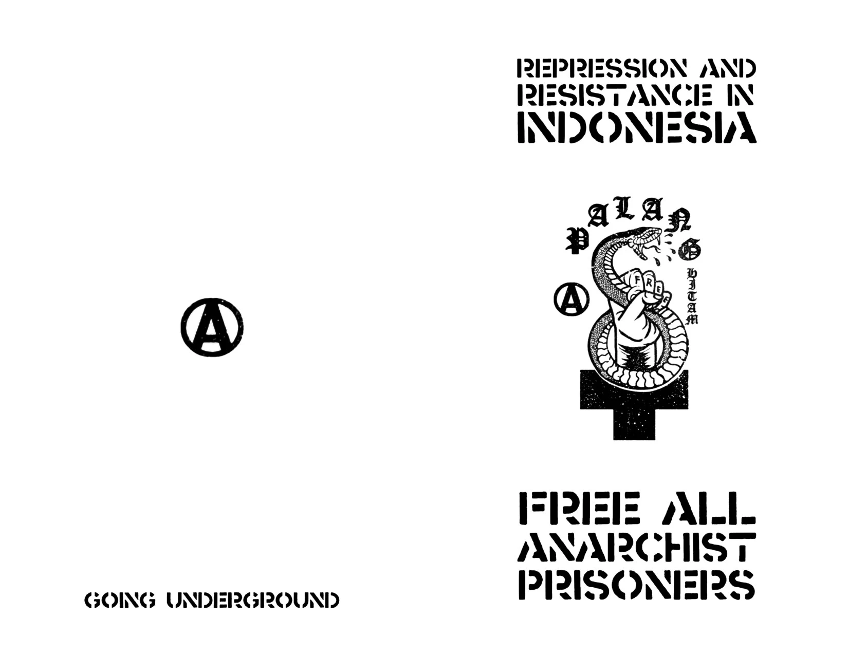 Repression and Resistance in Indonesia